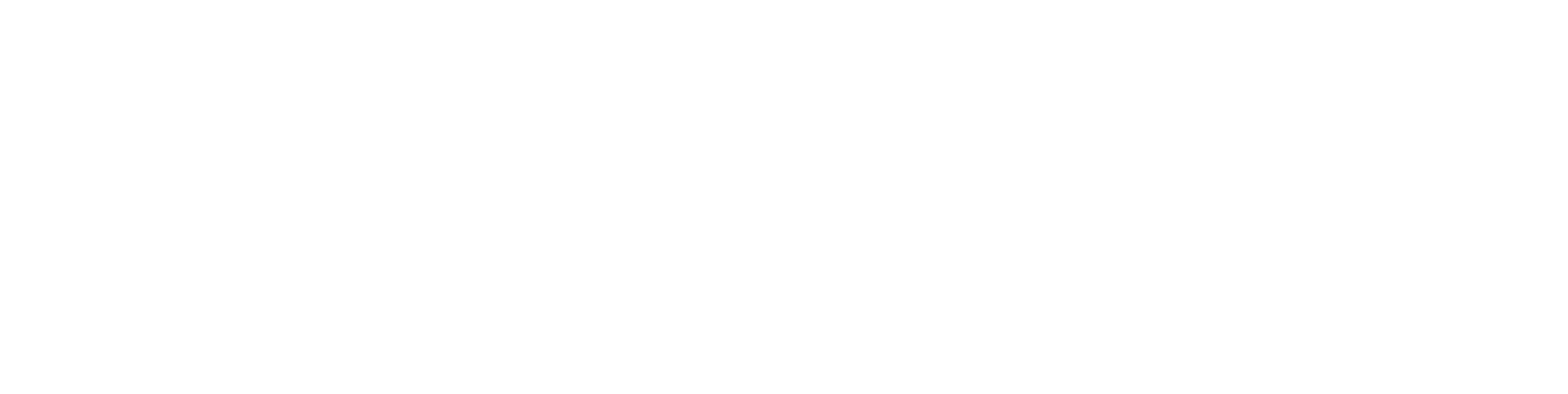 logo_sky_blanco