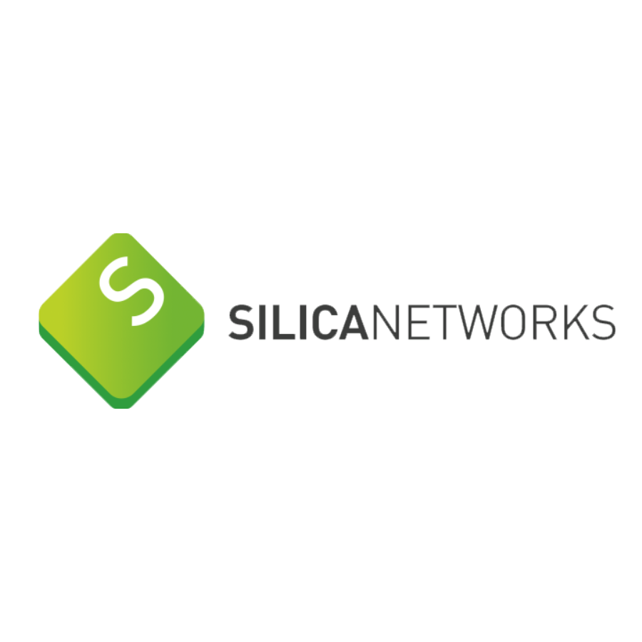 Silica Networks